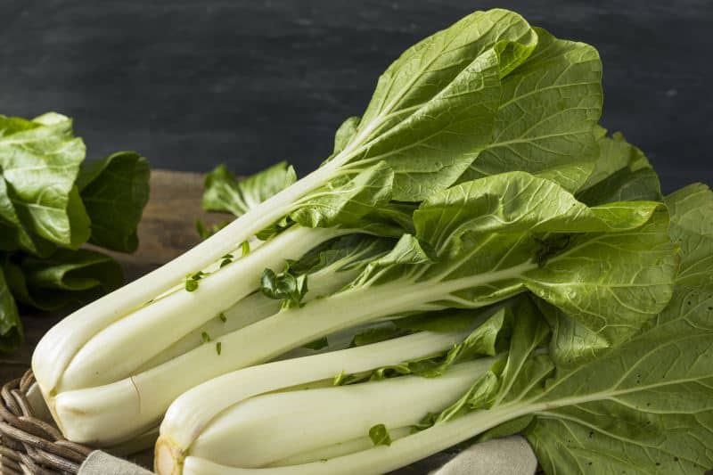  fresh bok choy whole