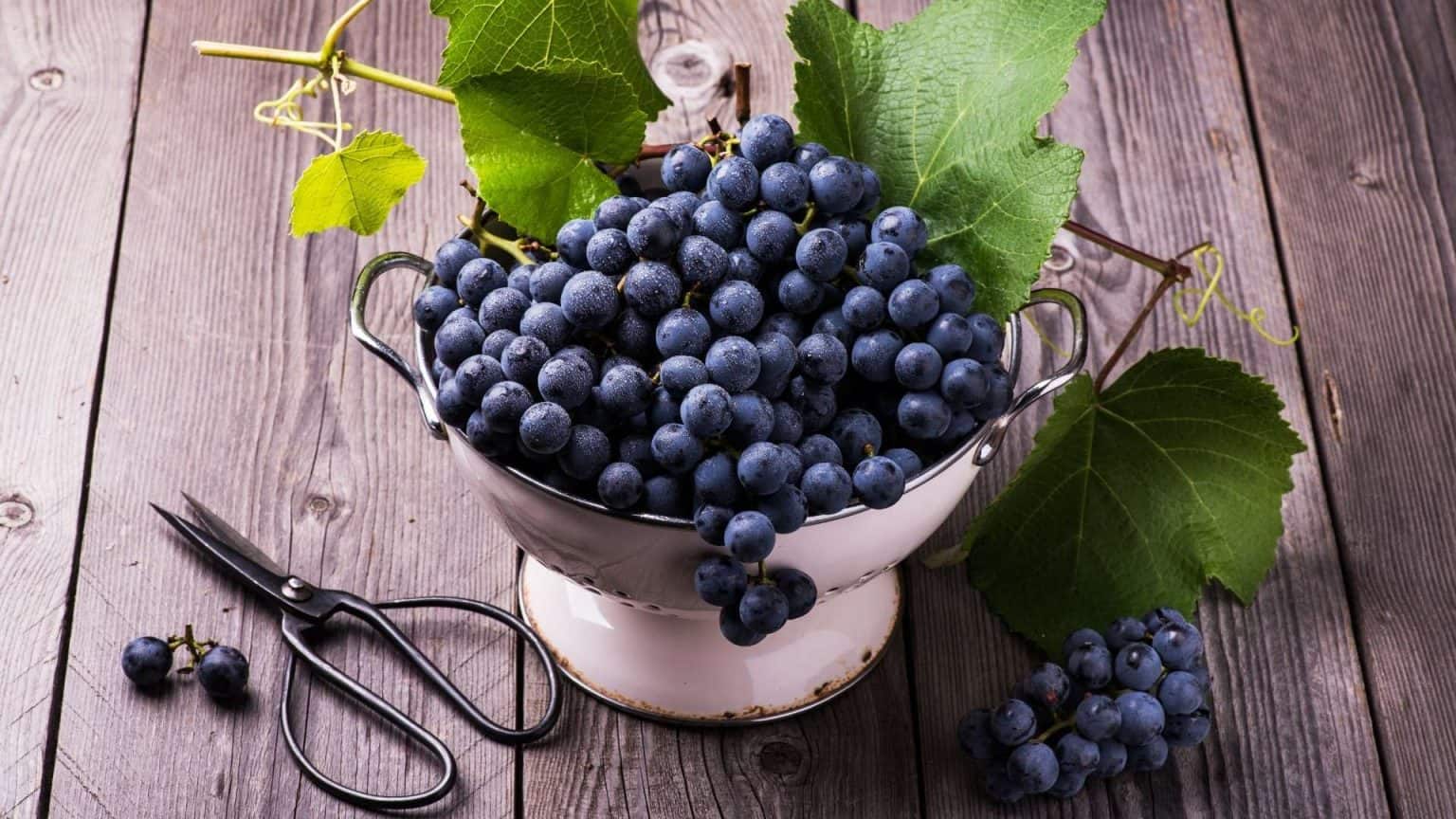 Black Fruits List: 22 Fruits That are Black in Color