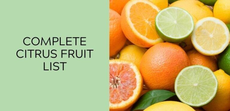 Complete Citrus Fruit List: 33 Fruits That Are Considered Citrus